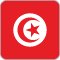la Tunisie flag