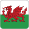 le Pays de Galles flag