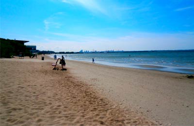 Compare and save, no hidden fees!