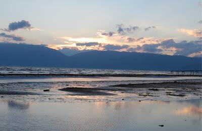 Find all sailings and the latest special offers