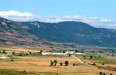 Compare and save, no hidden fees!