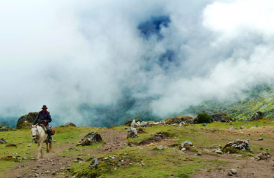 Feel confident booking with 