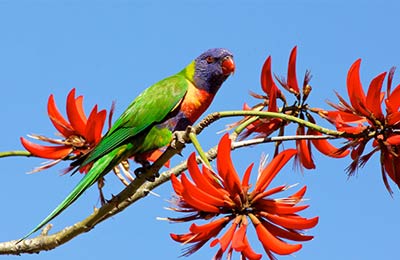 Compare and save, no hidden fees!