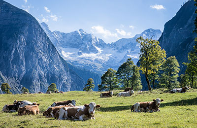 Find all sailings and the latest special offers