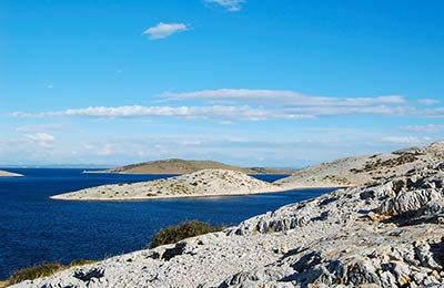 Compare and save, no hidden fees!