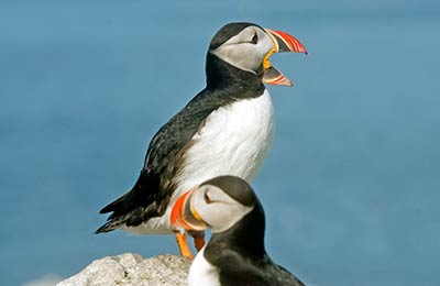 Ferries para as ilhas Faroé