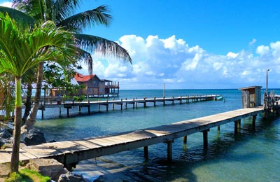 Compare and save, no hidden fees!