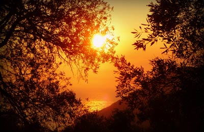 Find all sailings and the latest special offers