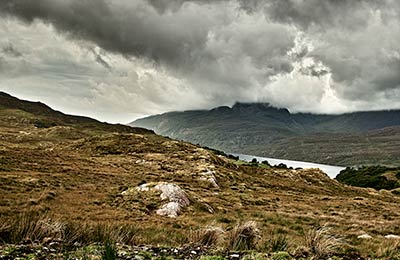 Compare and save, no hidden fees!