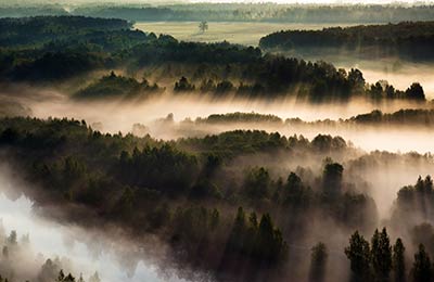 Find all sailings and the latest special offers