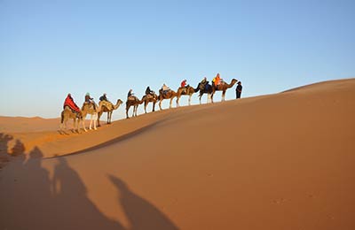 Find information with AFerry.