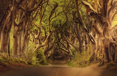 Belfāstas mini kruīzi