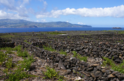 Compare and save, no hidden fees!