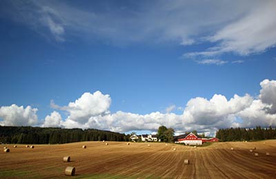 Find all sailings and the latest special offers