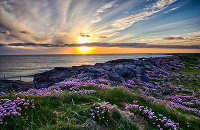 Find all sailings and the latest special offers