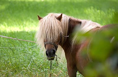 Find all sailings and the latest special offers