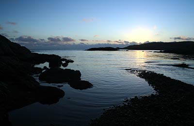 Compare and save, no hidden fees!