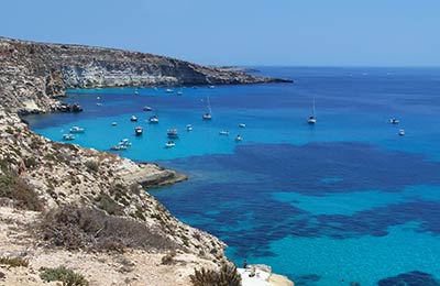 Compare and save, no hidden fees!