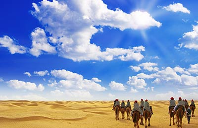 Find all sailings and the latest special offers