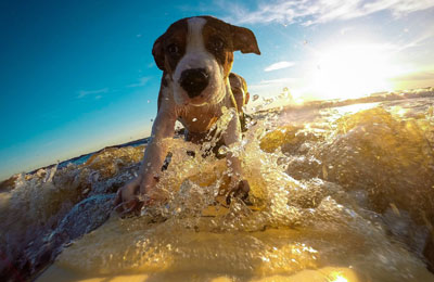 Everybody needs a holiday now and again!