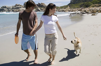 A family holiday means the dog comes too!